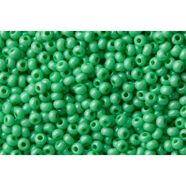 Čekiškas biseris Opaque-Lustered žalias(16356) 10/0 50g