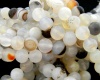 <b>Agatas </b> "White ocean" apvalus 10mm